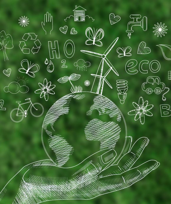 Çevre İzin ve <br>Lisans Belgesi