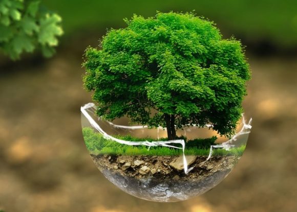 Sürdürülebilir Gelecek: Çevre Danışmanlığının Rolü ve Önemi