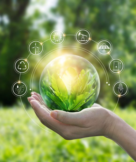 Çevre <br>Sürdürülebilirlik